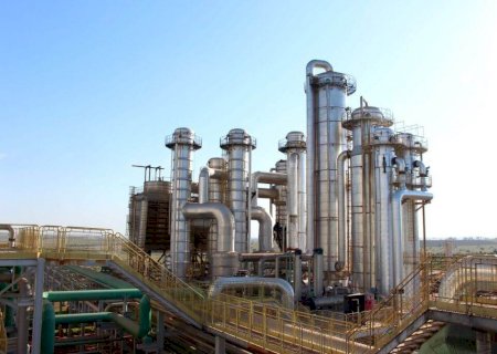 MS deve produzir quase 50 milhões de toneladas de cana, estima Conab