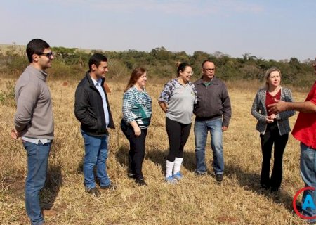 ONG “anjo da guarda' de animais vai ganhar sede em Amambai - A Gazeta News