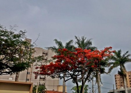 Primavera começa com temperatura amena em Dourados