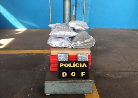 Mulher é presa em ônibus tentando levar droga até o Paraná