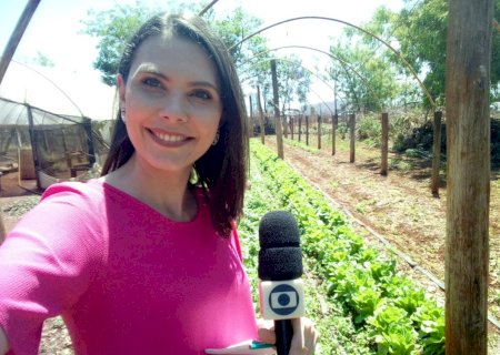 Paixão dos agricultores pela produção sustentável chama a atenção em Mato Grosso do Sul