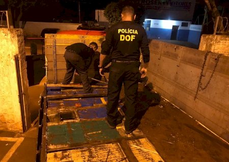 DOF apreende quase uma tonelada de maconha em Ponta Porã