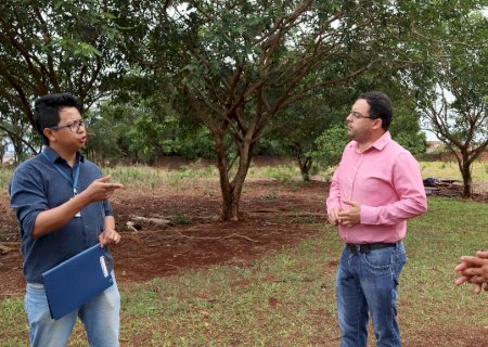 Prefeitura vai apoiar projeto de agricultura urbana da Associação de Combate ao Câncer da Grande Dourados