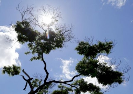 Semana que antecede o Natal deve ter chuva forte e temperaturas em queda
