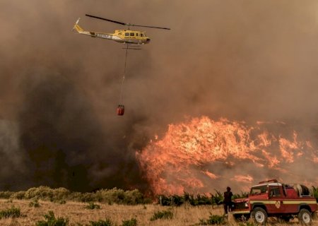Crise climática provoca incêndios, ondas de calor e perda de biodiversidade