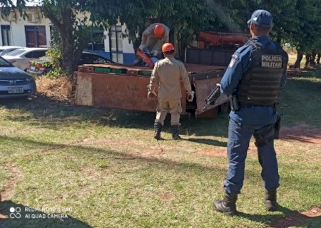 Carregamento de maconha que viria para Dourados é apreendido na fronteira 