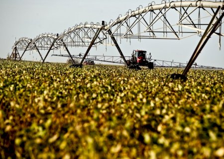 Agropecuária cresce 1,9% no primeiro trimestre