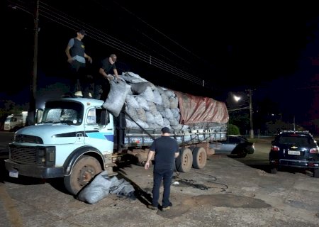 Polícia Civil apreende 4 toneladas de maconha em caminhão carregado de carvão.