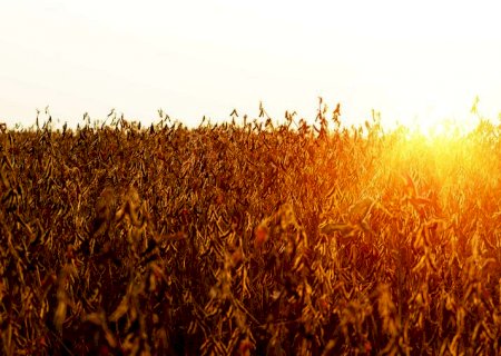 Exportações do agro ultrapassam barreira dos US$ 100 bilhões pela segunda vez