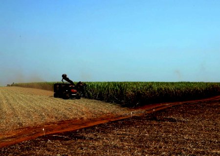 Governo lança plano de promoção da agricultura de baixo carbono