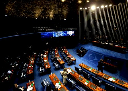 Senado aprova proibição de armas para agressores de mulheres