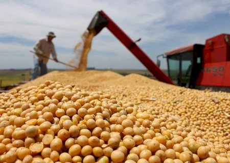 Centro-Oeste tem maior crescimento na produção de grãos do país