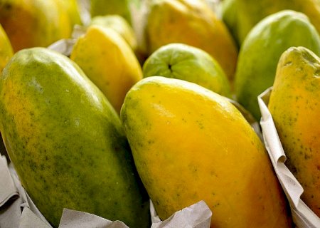 Prazo para cadastro na Agricultura Familiar é prorrogado até 2024