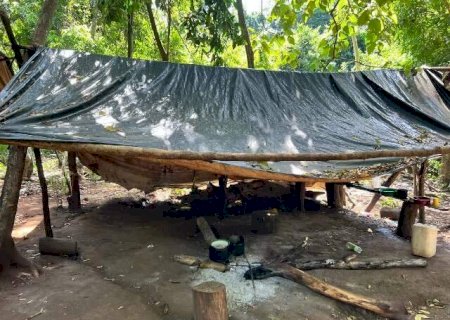 Pol&iacute;cia paraguaia encontra mais de 14 toneladas de maconha em acampamento