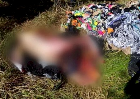 Mulher confessa crime e diz que esquartejou marido como porco