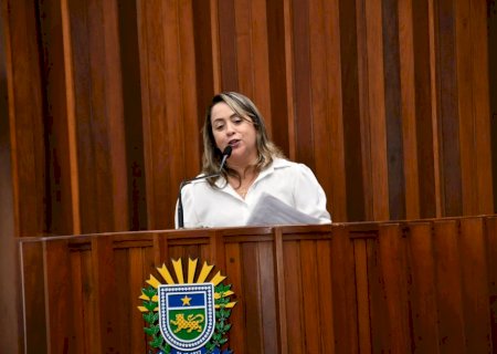 Lia Nogueira quer redutor de velocidade em Assentamento de Ponta Porã