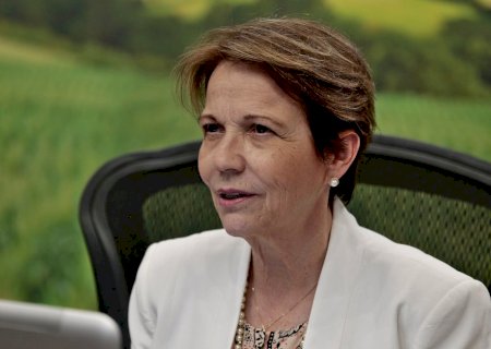 Grupo invade fazenda de família da senadora Tereza Cristina