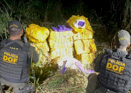 Drogas avaliadas em R$ 1 milhão são encontradas em mata