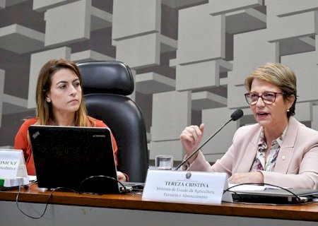 Senado contraria STF e aprova marco temporal para terras indígenas