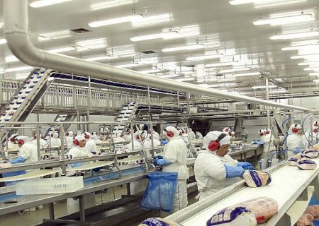 Japão anuncia fim do embargo às exportações de frango de MS