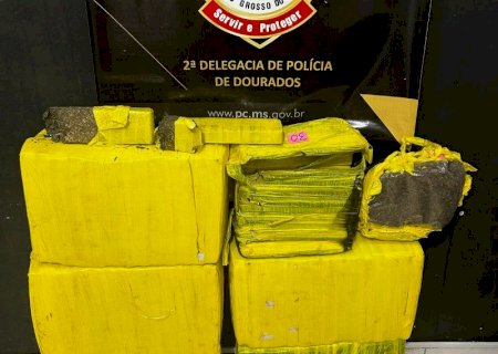 Polícia fecha entreposto e prende mulher com 135 quilos de maconha