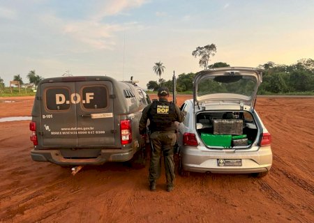 Homem que seguia com mais de 150 quilos de maconha para SC é preso em MS