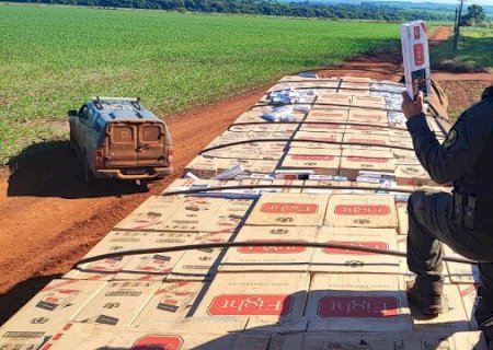Carga milionária de cigarros ilegais é apreendida pela polícia