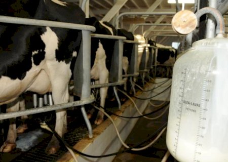 CNA estuda aplicação de direito antidumping em importações de leite da Argentina