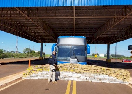 PRF apreende 1.480 kg de maconha em ônibus levando turistas para a praia