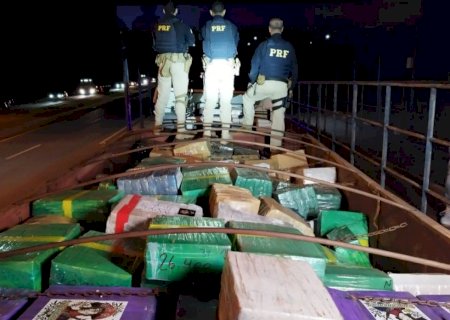 Motorista que transportava 26,6t e armas é de SC vai permanecer preso
