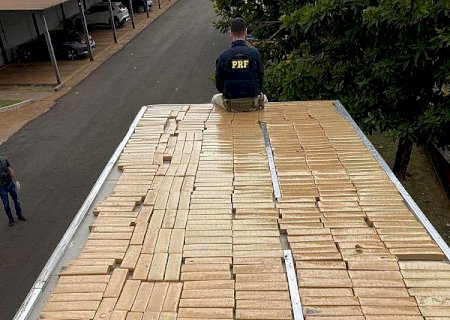 PRF apreende quase meia tonelada de maconha que tinha a Bahia como destino