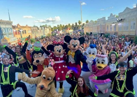 Nascimento do filho fez pai criar parque incr&iacute;vel inspirado na Disney