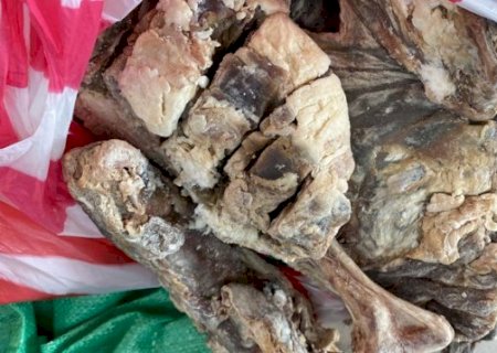 A&ccedil;&atilde;o conjunta na fronteira apreende drogas, mercadorias e carne de lhama