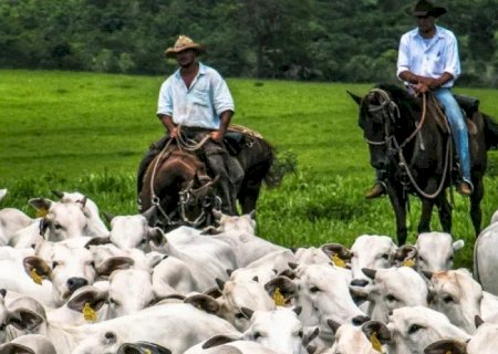 Número de pessoas trabalhando no agronegócio segue renovando recorde