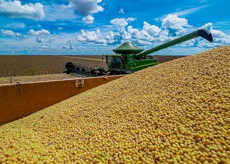 Abiove eleva estimativa de produção de soja em 700 mil toneladas