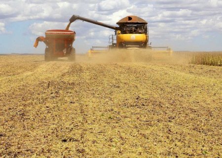 Brasil deve produzir 299 milhões de toneladas de grãos na safra 2023/2024
