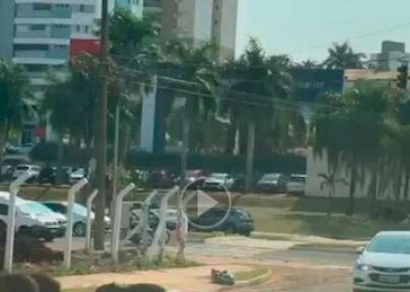 Fam&iacute;lia de capivara se mostra consciente e atravessa na faixa de pedestre