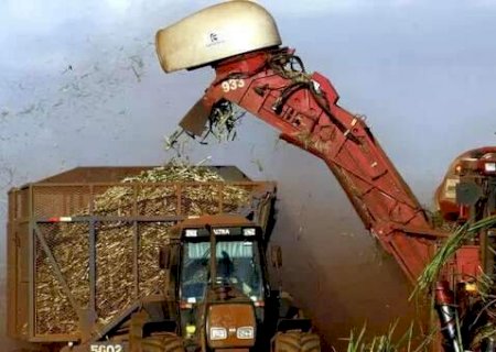 Produ&ccedil;&atilde;o de cana em MS pode cair 20% com mudan&ccedil;as clim&aacute;ticas