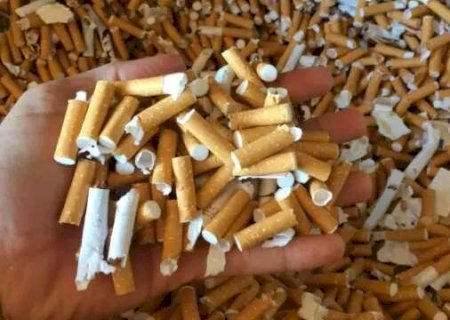 Pesquisa de MS quer transformar cigarros apreendidos em isolante t&eacute;rmico