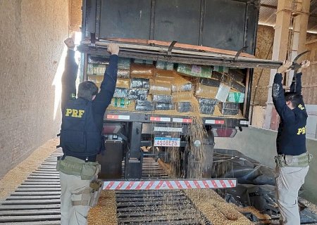 PRF apreende quase 30 toneladas de maconha e registra recorde de apreensão