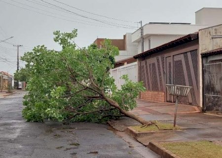 Temporal e ventania deixou 23 cidades de MS sem luz