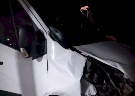 Motorista mata idoso atropelado e diz a pol&iacute;cia que acreditava ser um bicho