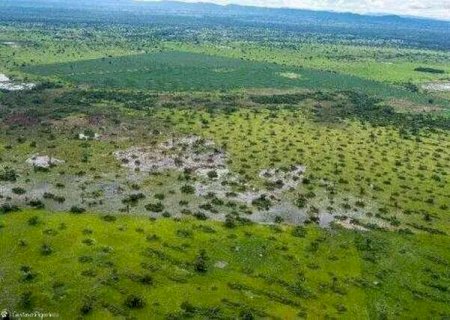 Promotor decide prorrogar inqu&eacute;rito sobre Pantanal por um ano