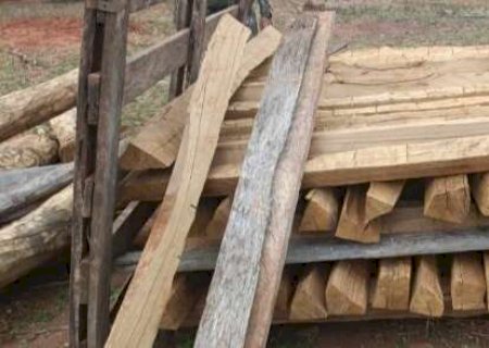 Donos de lotes em assentamentos s&atilde;o multados em R$ 13,5 mil por desmatamento