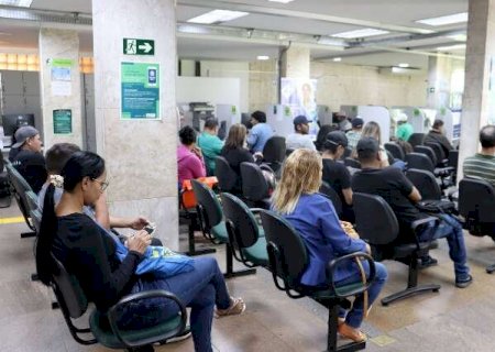 Empresa abre processo seletivo com 30 vagas para atacadista da Capital