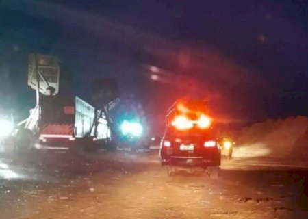 Trabalhadores encontram ossada humana em canavial