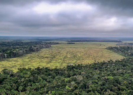 Degradação de florestas na Amazônia bate recorde mensal em setembro