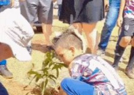 Para renovar &ldquo;verde&rdquo; em pra&ccedil;a, moradores do Jardim Itamarac&aacute; plantam 24 &aacute;rvores