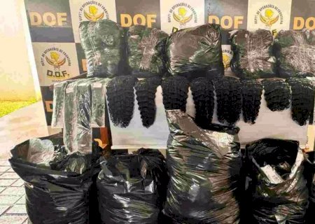 Polícia apreende mais de cem quilos de cabelo avaliado em R$ 920 mil