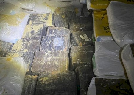 Cinco são presos em esquema de tráfico de maconha chefiado por irmãos